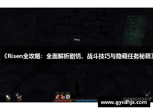 《Risen全攻略：全面解析剧情、战斗技巧与隐藏任务秘籍》