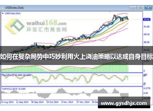 如何在复杂局势中巧妙利用火上浇油策略以达成自身目标