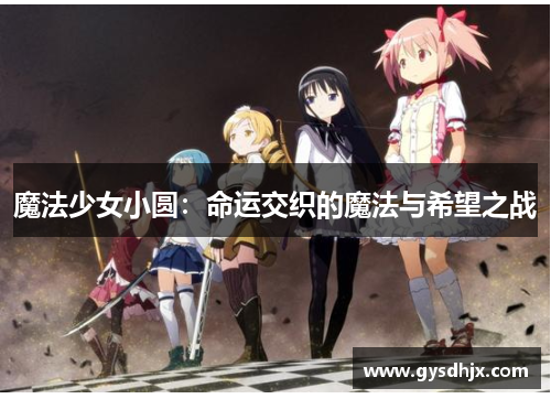 魔法少女小圆：命运交织的魔法与希望之战